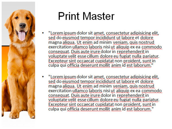 Beautiful Dog Powerpoint Template - Image 3