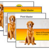 Beautiful Dog ppt theme