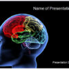 Human Brain PowerPoint Template