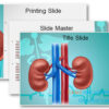 Vascular PowerPoint Template